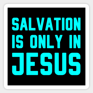 SALVATION IS ONLY IN JESUS Magnet